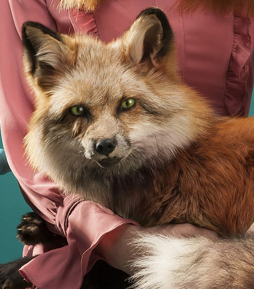 Beauty's en Beesten gezocht_trailer